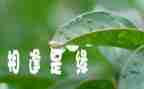 狭路相逢勇者胜的作文7篇