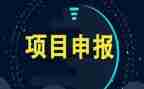 2023年度项目个人总结优秀7篇