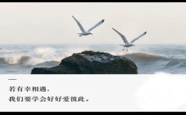 我与相遇作文7篇