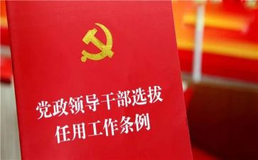 乡镇干部个人总结总结优质5篇