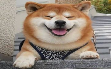 写微笑的作文600字6篇