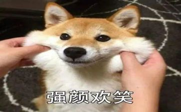 读后感笑猫日记400字5篇