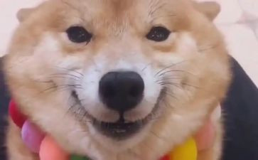 她笑了作文600字参考7篇