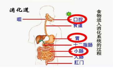 消化内科心得体会5篇
