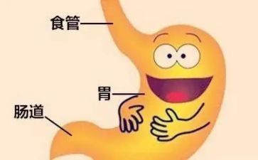 消化工作计划6篇