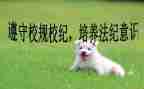 遵守校纪校规讲话稿6篇