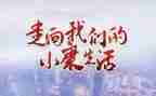 我的小康作文推荐5篇