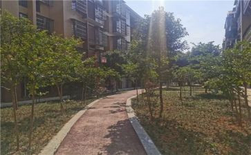小区环境调查作文7篇