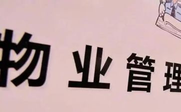 小区物业保安年终个人总结6篇