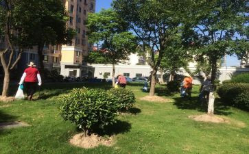 小区物业年终总结范文5篇