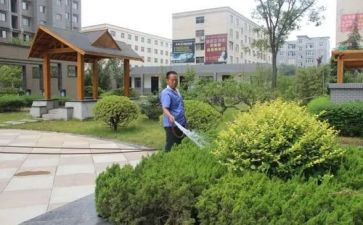 小区物业保安个人总结6篇