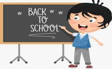 小学教师个人年度个人总结7篇