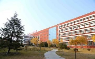 校园活动活动总结优质7篇
