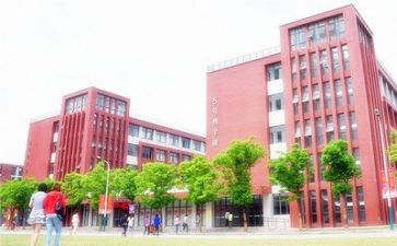 校园活动活动总结参考5篇