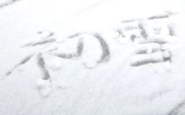 描写下雪的作文6篇