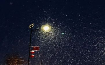 下雪做作文模板8篇