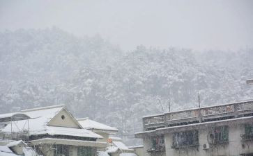 下雪了作文优质6篇