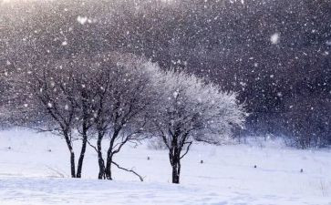 下雪做作文5篇