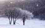 下雪做作文5篇