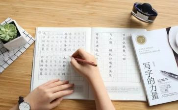 专四写作课心得体会6篇