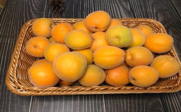 银杏谷作文推荐8篇