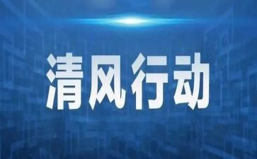 大行动办工作总结优秀6篇