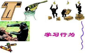 员工行为守则心得体会8篇