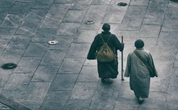 狼行者观后感500字8篇