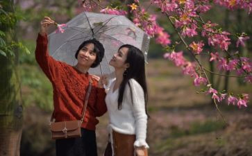 掌心里的爱作文800字6篇