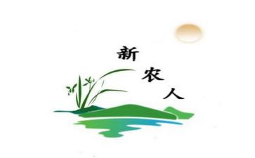 新农村个人总结7篇