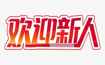 公司新人年度总结8篇