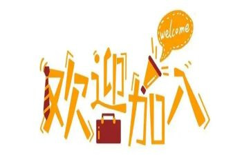 新人转正个人工作总结6篇