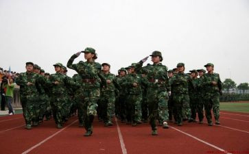 学生会带新生工作总结5篇