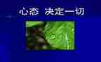 教师心态演讲稿8篇