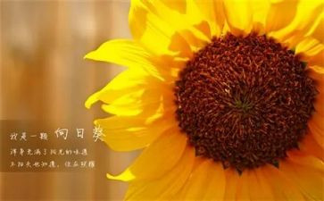 房地产销售新一年工作计划7篇