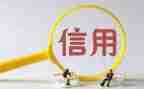 信用个人总结8篇