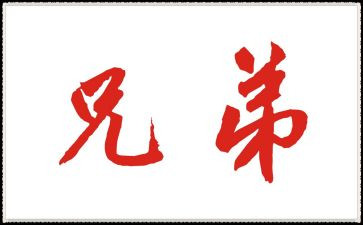 兄弟读后感作文8篇