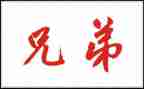 兄弟读后感作文8篇