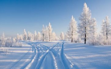 幼儿园大班有关雪的教案优质7篇