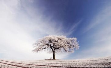 幼儿园大班关于雪的教案通用5篇