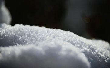 有关雪的书的读后感模板7篇