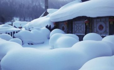 幼儿园大班关于雪的社会教案模板8篇