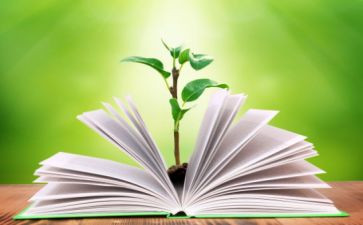 高二历史教学工作总结8篇
