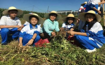 鲁汇学农个人总结5篇