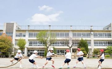 学生节作文800字5篇