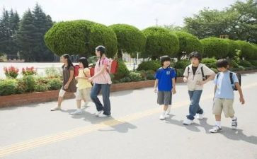 毕业大学生实习个人总结优质6篇