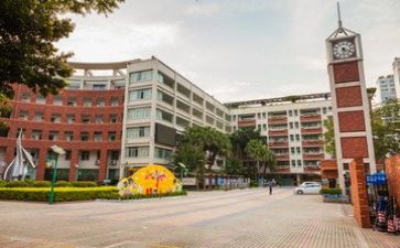 从学校到工作心得体会优质5篇