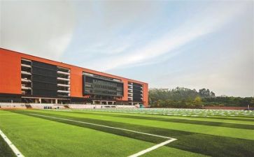 学校培训活动总结6篇