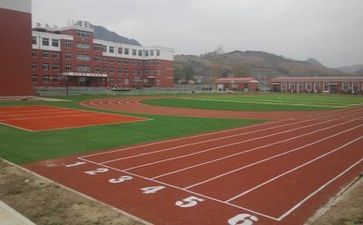 夸学校的作文精选8篇