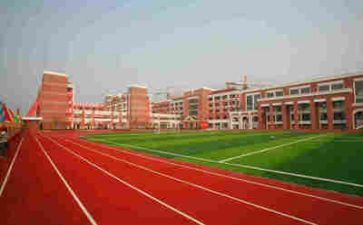 学校个人总结模板6篇